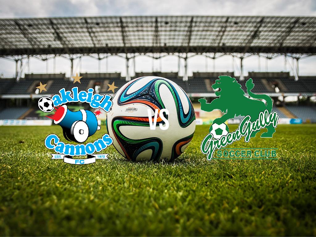 okli-kannons-fk-vs-grin-guli-sk-2018-06-29