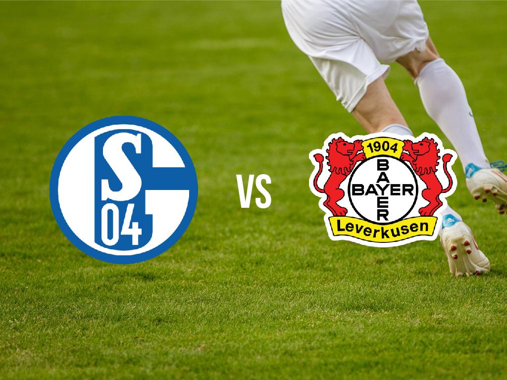 salke-04-vs-baer-leverkuzen-2018-12-19