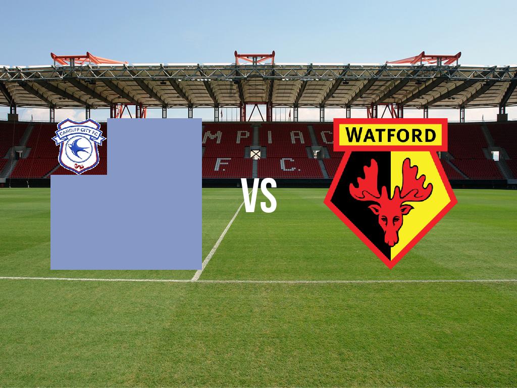 kardif-siti-vs-vatford-2019-02-22