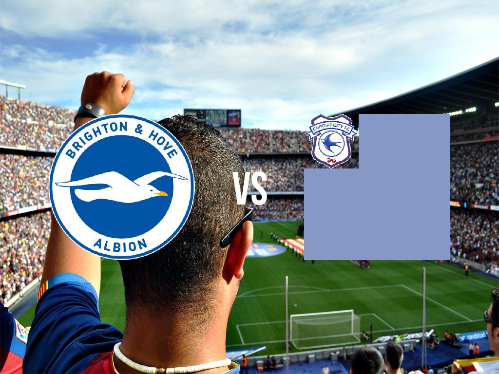 brajton–hov-albion-vs-kardif-siti-2019-04-16